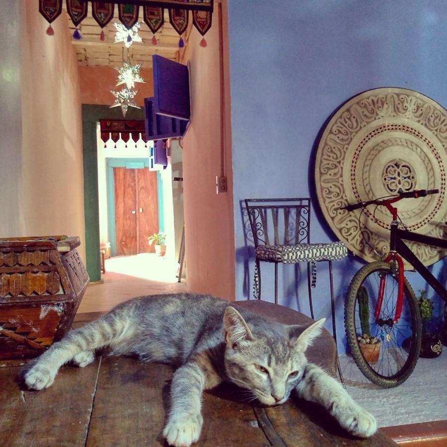 Lola Atlachinolli Sayulita Luaran gambar